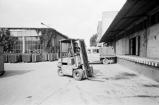 Skan negatywu, sygnatura 1975