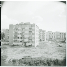 Skan negatywu, Sygnatura 1690