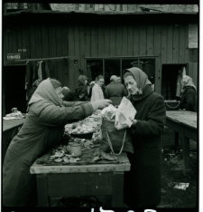 Skan negatywu, Sygnatura 1727