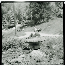 Skan negatywu, sygnatura 834