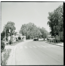 Skan negatywu, sygnatura 835