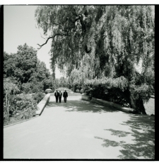 Skan negatywu, sygnatura 835