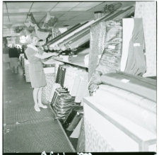 Skan Negatywu, Sygnatura 1156