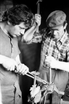 Skan negatywu, sygnatura 1963