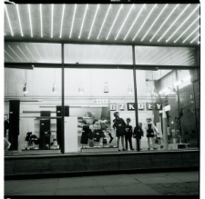 Skan negatywu, Sygnatura 7013