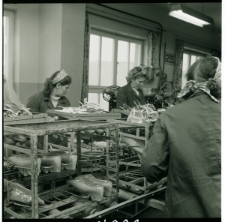 Skan Negatywu, 1 &ndash; 12 Sp&oacute;łdzielnia Szewsko &ndash; Cholewkarska im. Hanki Sawickiej w Lublinie