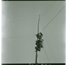 Skan Negatywu, Sygantura 4862