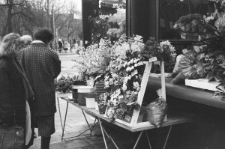 Skan Negatywu, Sygnatura 6345