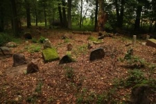 Cmentarz żydowski w Knyszynie