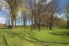 Cmentarz żydowski w Nowym Żmigrodzie