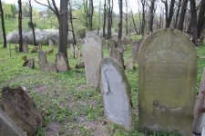 Macewy na cmentarzu żydowskim w Nowym Żmigrodzie