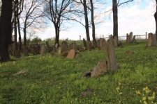 Macewy na cmentarzu żydowskim w Nowym Żmigrodzie