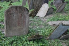 Macewy na cmentarzu żydowskim w Nowym Żmigrodzie