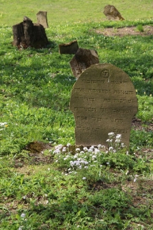 Macewy na cmentarzu żydowskim w Nowym Żmigrodzie