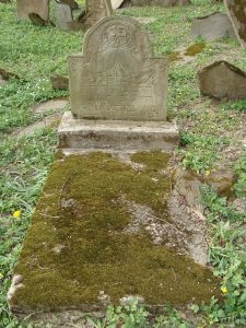 Nagrobek na cmentarzu żydowskim w Nowym Żmigrodzie