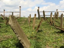 Cmentarz żydowski w Nowym Żmigrodzie