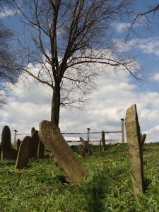 Cmentarz żydowski w Nowym Żmigrodzie