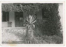 Dw&oacute;r w Guz&oacute;wce od strony ogrodu