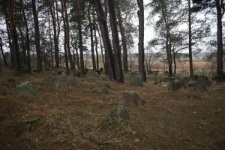 Muslim cemetery in Studzianka