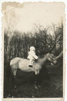 Mały Andrzej Kiełczewski na kucyku w Guz&oacute;wce