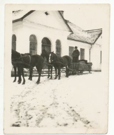 Sanie przed Guz&oacute;wką