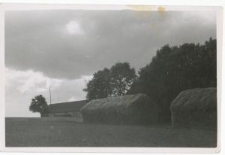 Budynek gospodarczy majątku w Guz&oacute;wce