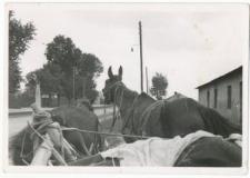 Wyjazd z Guz&oacute;wki do Lublina