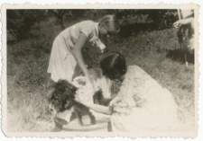 Kąpanie psa. Guz&oacute;wka