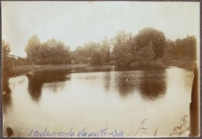 Widok na sadzawkę kanałową