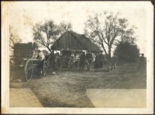 Przew&oacute;z ryb do rybak&oacute;wki