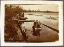 Zatopiony galar na stawach w Siemieniu