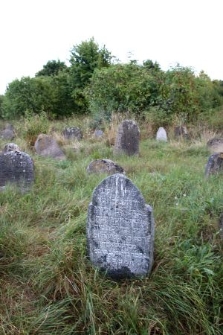 Matzevot at the Jewish cemetery in Krynki