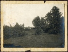 Łąka i lasek niedaleko kanału