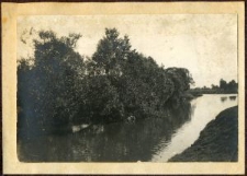 Drzewa nad rzeką w Siemieniu