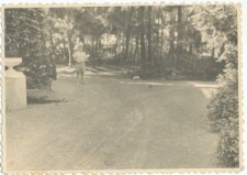 Dzbenin, Juliusz Libek