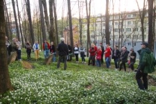 Cmentarz żydowski w Lesku