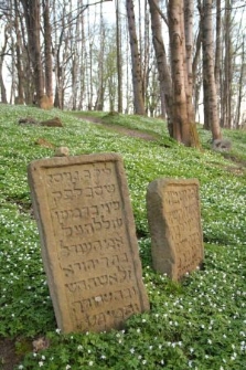 Macewy na cmentarzu żydowskim w Lesku