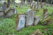 Matzevot at the Jewish cemetery in Lesko