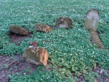 Macewy na cmentarzu żydowskim w Lesku