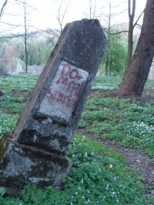 Nagrobek na cmentarzu żydowskim w Lesku