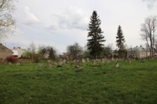 Cmentarz żydowski w Oleszycach