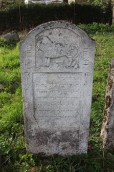 Macewa na cmentarzu żydowskim w Oleszycach