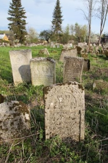 Macewy na cmentarzu żydowskim w Oleszycach