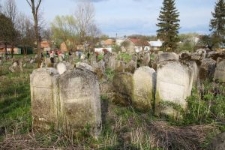 Macewy na cmentarzu żydowskim w Oleszycach