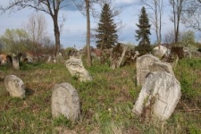 Macewy na cmentarzu żydowskim w Oleszycach