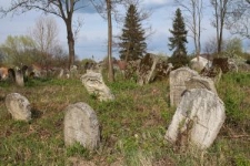 Matzevot at the Jewish cemetery in Oleszyce