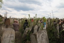Macewy na cmentarzu żydowskim w Lubaczowie