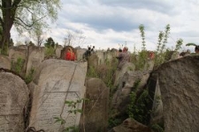 Macewy na cmentarzu żydowskim w Lubaczowie