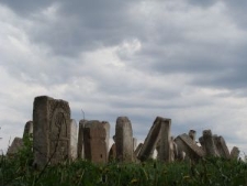 Jewish cemetery in Lubaczów