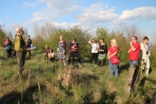 Cmentarz żydowski w Rymanowie